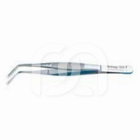 PRÉCELLE À OEILLET DE CORN