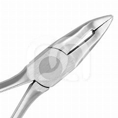 PINCE DE WEINGART STANDARD PINCE DE WEINGART STANDARD