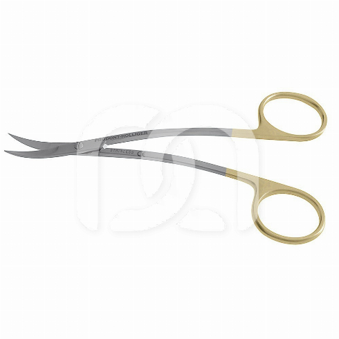 SCHAAR - LAGRANGE PROGONT HOLLINGER