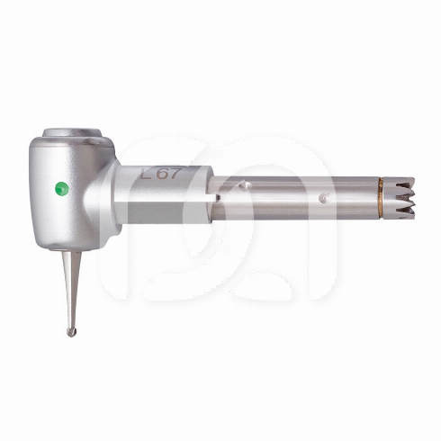 TÊTE - INTRA LUX - L67