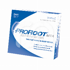 PRO ROOT MTA SACHETS (4X0,5G)