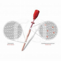 GUTTACORE BLISTER - LE BLISTER DE 6 GUTTACORE