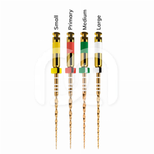 WAVEONE GOLD - ASSORTIMENT  (4)