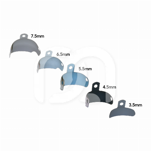 PALODENT V3 REFILL MATRIX EZ COAT (50) PALODENT V3 REFILL MATRIX EZ COAT (50)