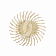 SOF-LEX SPIRALE - PRE-POLIJSTEN (15) SOF-LEX SPIRALE - PRE-POLIJSTEN (15)