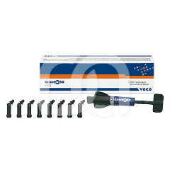 GRANDIOSO X-TRA - LES 16 CAPSULES DE 0,25 G