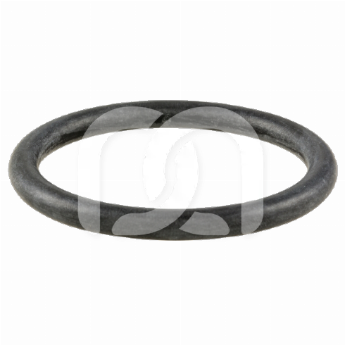 PROPHYFLEX 4 - O-RING VOOR TANK