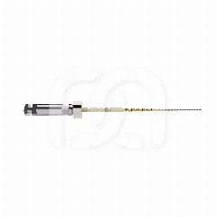 TRUNATOMY GLIDER (3PC) TRUNATOMY GLIDER (3PC)