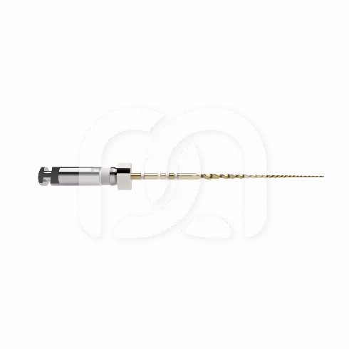 TRUNATOMY GLIDER (3PC) TRUNATOMY GLIDER (3PC)
