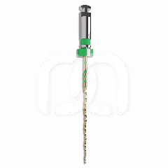 TRUNATOMY SHAPING FILE (6ST) TRUNATOMY SHAPING FILE (6ST)