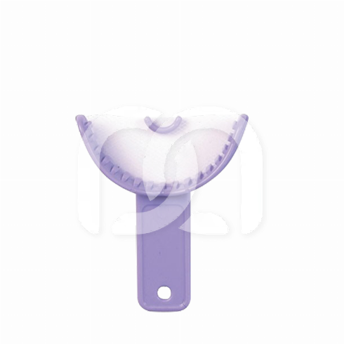 SUPRATRAYS - ANTERIEUR