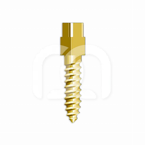 TENONS À VIS PLAQUÉS OR (12)