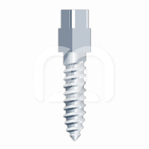 TENONS À VIS - TITANE (6)