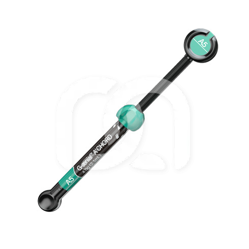 G-AENIAL A'CHORD SERINGUE (4G) G-AENIAL A'CHORD SERINGUE (4G)