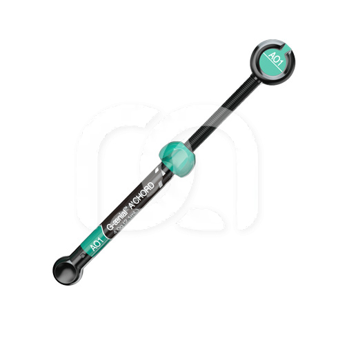 G-AENIAL A'CHORD SERINGUE (4G) G-AENIAL A'CHORD SERINGUE (4G)