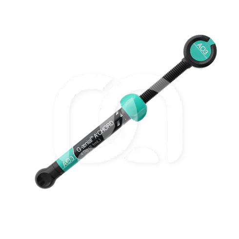 G-AENIAL A'CHORD SERINGUE (4G)