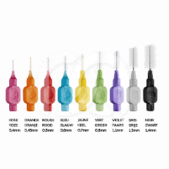 INTERDENTALE BORSTEL (25)