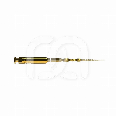 PROTAPER ULTIMATE SX 19 MM  (6)