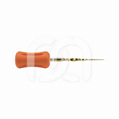 PROTAPER ULTIMATE HAND USE (6)