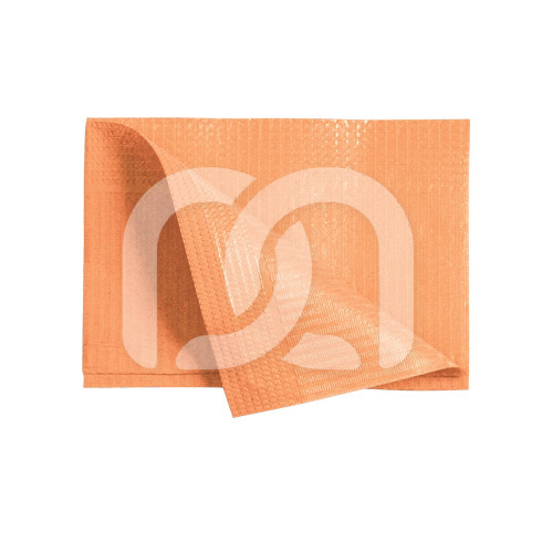 GEPLASTIFICEERDE SERVETTEN DRY-BACK (100) GEPLASTIFICEERDE SERVETTEN DRY-BACK (100)
