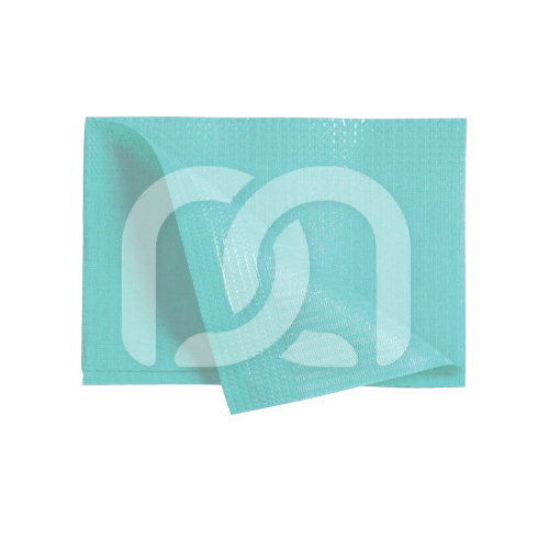 GEPLASTIFICEERDE SERVETTEN DRY-BACK (100) GEPLASTIFICEERDE SERVETTEN DRY-BACK (100)