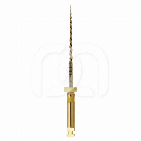 GO-TAPER FLEX STERILE (6) GO-TAPER FLEX STERILE (6)