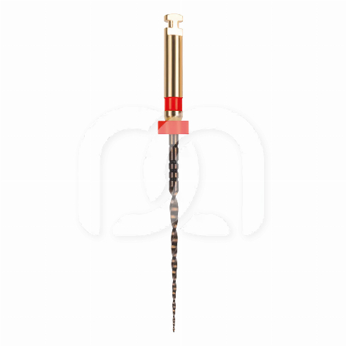 EASY-FILE FLEX STERILE (6) EASY-FILE FLEX STERILE (6)