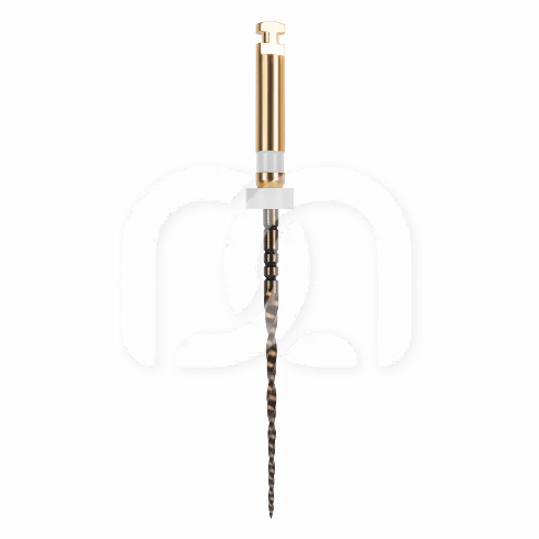 EASY-FILE FLEX STERILE (6) EASY-FILE FLEX STERILE (6)