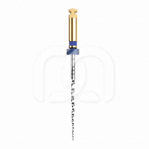 GO-TAPER X STERILE (6) GO-TAPER X STERILE (6)