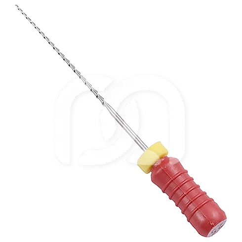 Racleurs Endodontiques Stériles 21 mm (6)