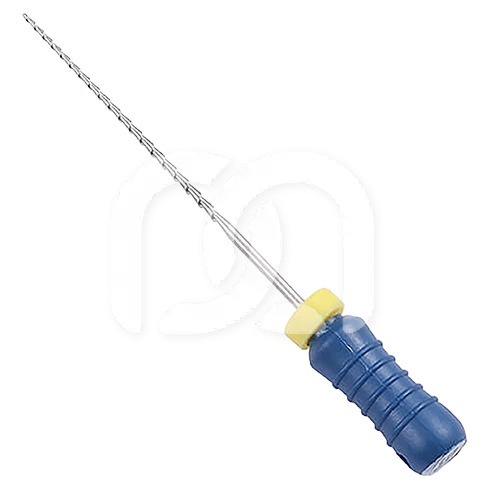 Racleurs Endodontiques Stériles 21 mm (6)