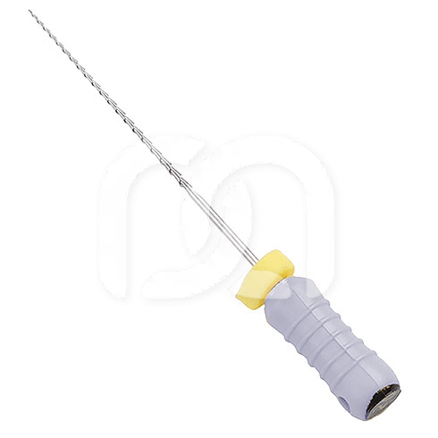 Racleurs Endodontiques Stériles 21 mm (6)