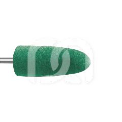 PROTHESE POLISHERS (10)