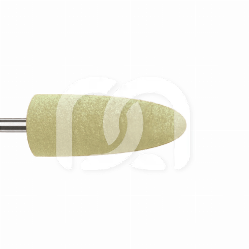 POLISSOIRS DE PROTHÈSE (10)