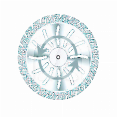 FLEX 365 DISC - DIAMETER 30 MM, DIK 35 MM 