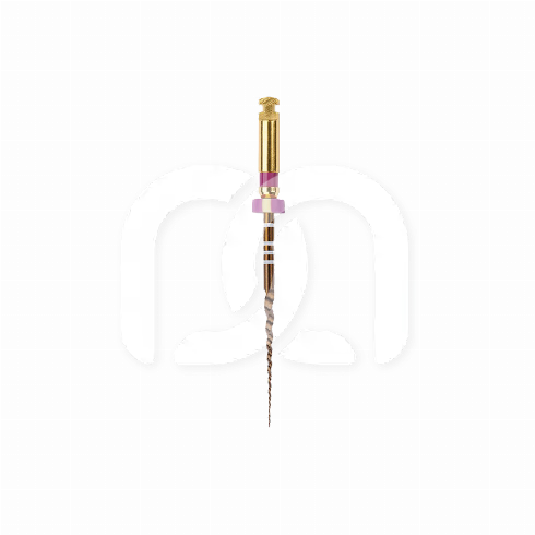PROTAPER GOLD™ (6) PROTAPER GOLD™ (6)