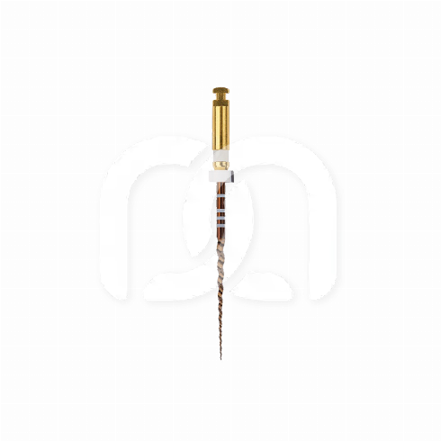 PROTAPER GOLD™ (6) PROTAPER GOLD™ (6)