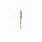 PROTAPER GOLD™ (6)
