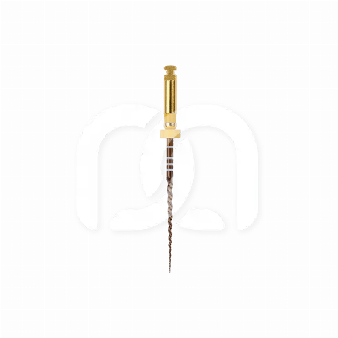 PROTAPER GOLD™ (6)
 PROTAPER GOLD™ (6)