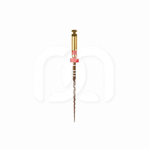 PROTAPER GOLD™ (6)
 PROTAPER GOLD™ (6)