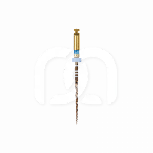 PROTAPER GOLD™ (6)
 PROTAPER GOLD™ (6)