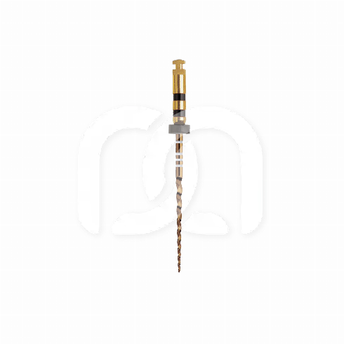 PROTAPER GOLD™ (6)
 PROTAPER GOLD™ (6)