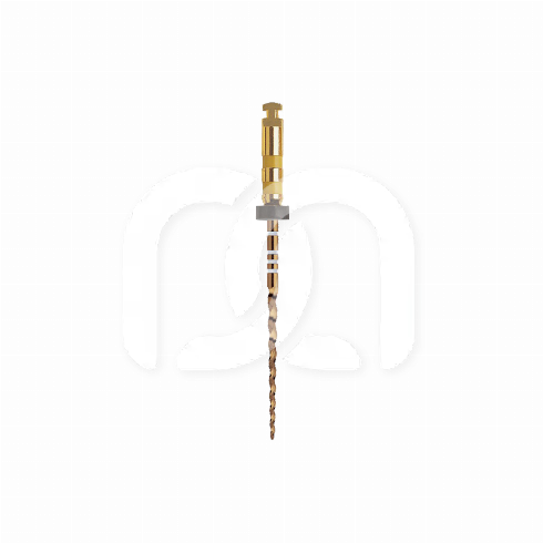 PROTAPER GOLD™ (6)
 PROTAPER GOLD™ (6)