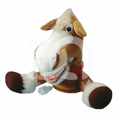 PUTZI PAARD POP

