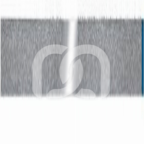 STRIPS MÉTALLIQUES (10)