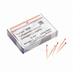 HYFLEX EDM PT GUTTA-PERCHA ONEFILE (100) HYFLEX EDM PT GUTTA-PERCHA ONEFILE (100)
