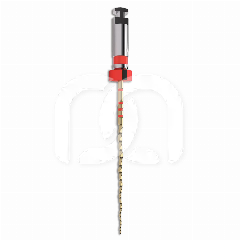 TRUNATOMY SHAPING FILE - PRIME (3)