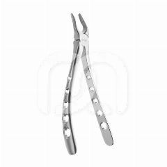 APICALE DIAMANT TANG
 APICALE DIAMANT TANG