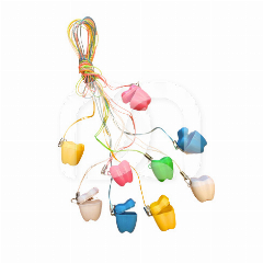 MOLAR + CORD (50)