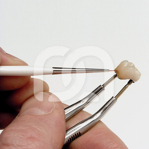 2 TAKANISHI PENSELEN